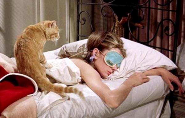 15 cosas que debes saber sobre los gatos - 8. Los gatos no se despiertan de mal humor