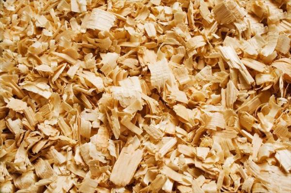 Guía paso a paso para preparar la jaula de una cobaya - Paso 2
