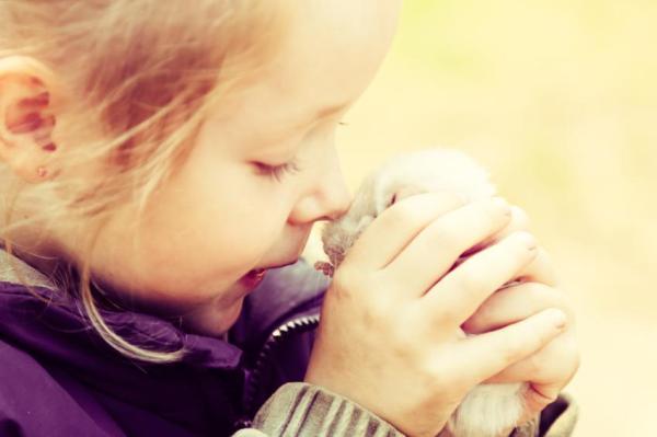¿Por qué chillan las chinchillas?  - Quiere tu atención