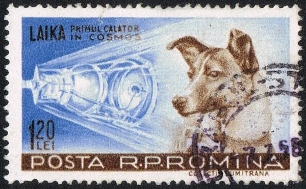 Nombres de Perros Famosos - Perros famosos del cine y la televisión