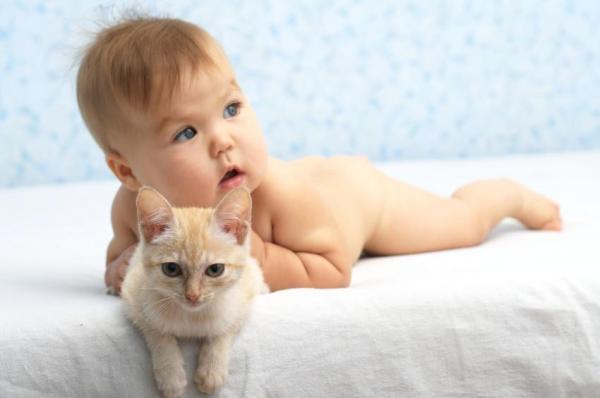 Ayudar a los gatos y a los bebés a llevarse bien - Introducción y resolución de problemas - Presentarle a su gato a un bebé recién nacido