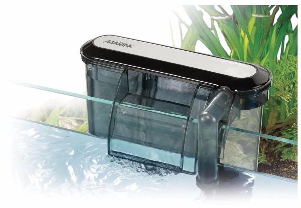 Guía paso a paso para preparar un acuario de agua fría - Paso 2