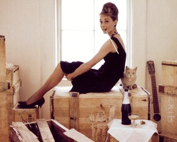 Nombres de gatos famosos - Gatos famosos de la literatura, el cine y la televisión