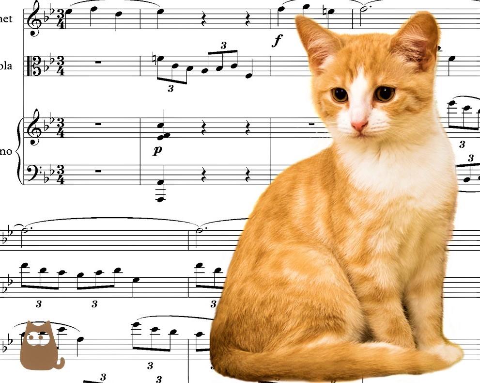 ¿qué Música Les Gusta a Los Gatos?