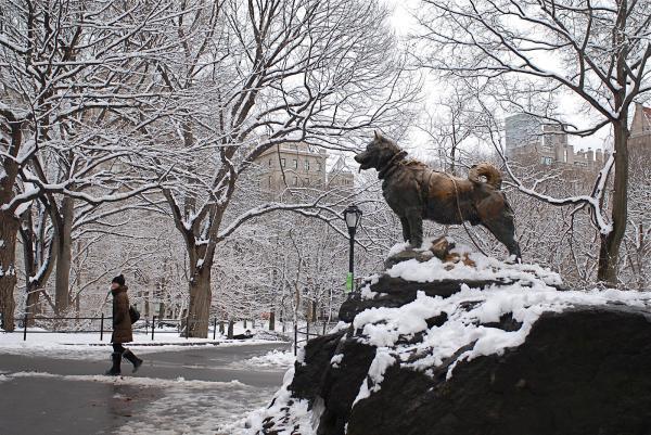 La verdadera historia de Balto, el perro que se convirtió en héroe - La estatua de Balto en Central Park