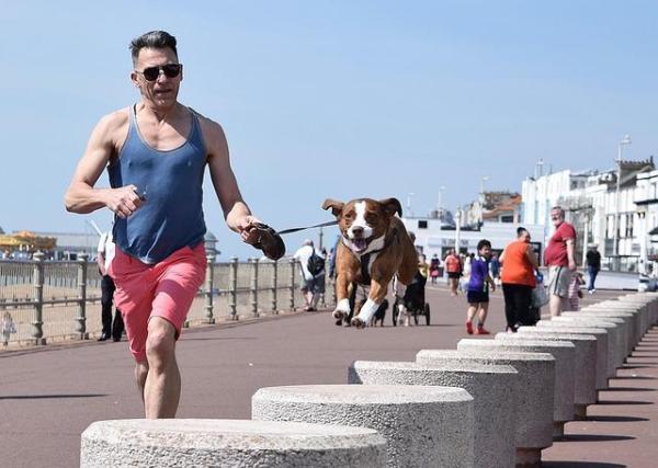 6 beneficios de hacer jogging con tu perro - 2. Mantenerse en forma
