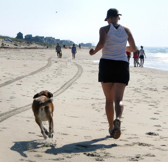 6 Beneficios De Correr Con Tu Perro