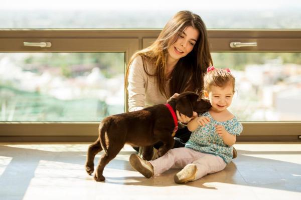 15 Cosas que debes saber sobre los perros - 12. Amarán a tu bebé como si fuera suyo