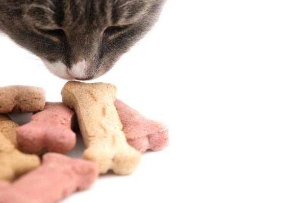 Cómo darle una pastilla a un gato: esconde la pastilla en su comida o premio favorito 