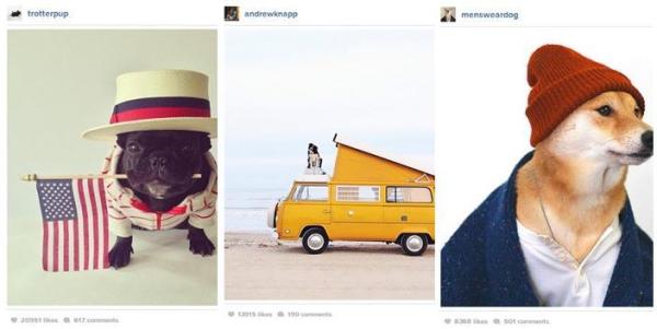 Hacer famoso a tu perro en Instagram - Paso 3