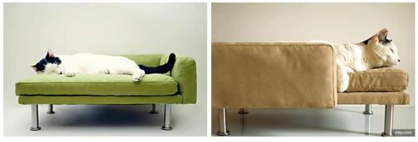 Muebles para gatos - 
