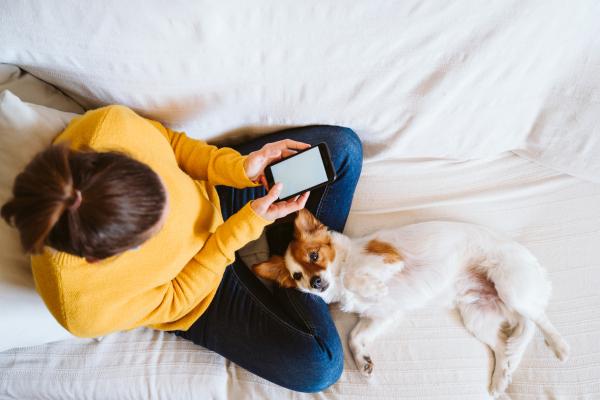 Aplicaciones de cuidado de mascotas para perros y gatos - Usos y beneficios - Cómo usar Flockr