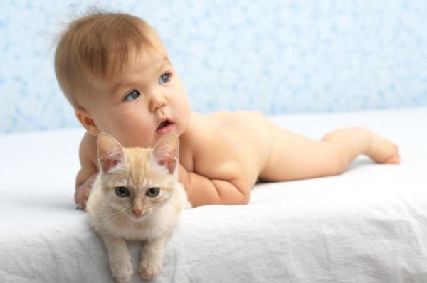 Beneficios de tener un gato para los niños - Beneficios para la salud de tener un gato para los niños