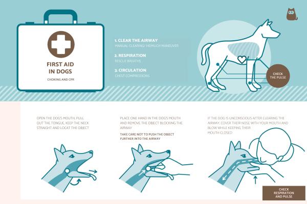 Cómo darle a un perro la maniobra de Heimlich cuando se asfixia - Cómo darle a un perro la maniobra de Heimlich