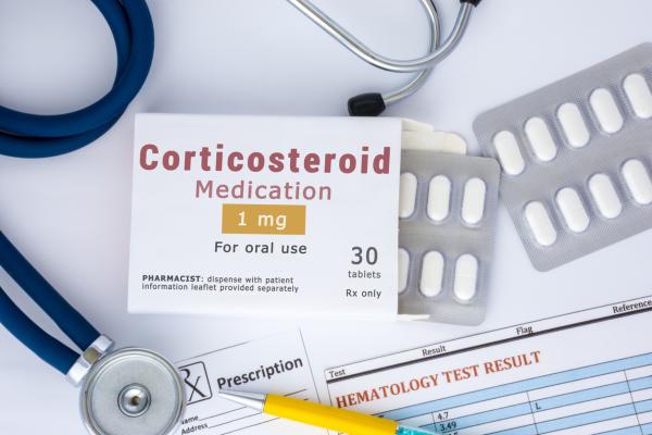 Corticosteroides para perros - Tipos, dosis y efectos secundarios - Dosis de corticosteroides para perros