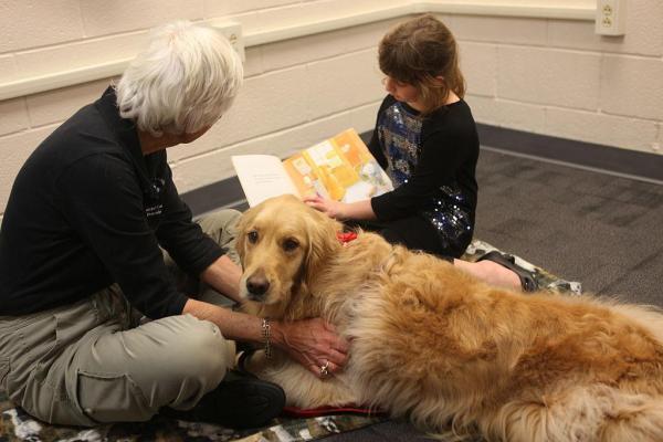 Dónde acariciar a un perro para relajarlo: aprenda las técnicas de caricias adecuadas