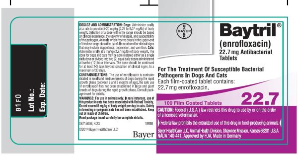 Enrofloxacina para perros - Posología, usos y efectos secundarios - Usos de enrofloxacina para perros