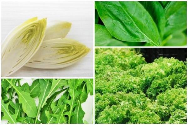 Frutas y verduras para pinzones cebra - Verduras para pinzones cebra
