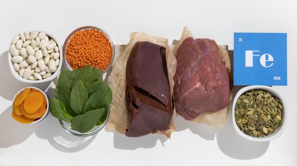 Importancia del hierro en los perros - Alimentos ricos en hierro para perros