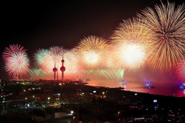 Los perros temen a los fuegos artificiales - Remedio - ¿Por qué los perros tienen miedo a los fuegos artificiales?