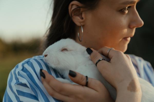 Mi conejo ya no orina - ¿Por qué mi conejo dejó de orinar?