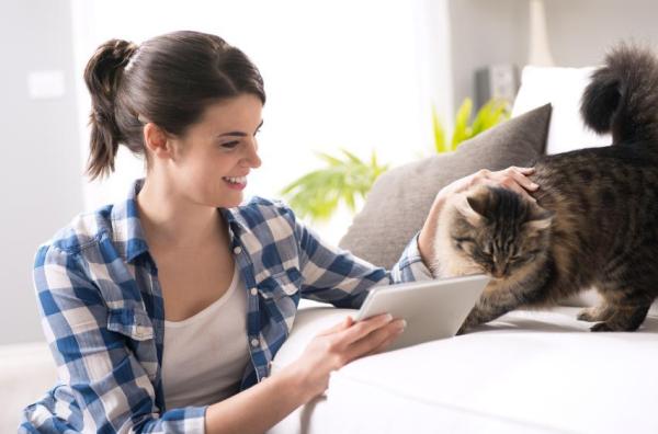 Mi gatito tiene mucho miedo: ¿cómo puedo ayudarlo? - Conociendo un nuevo gatito