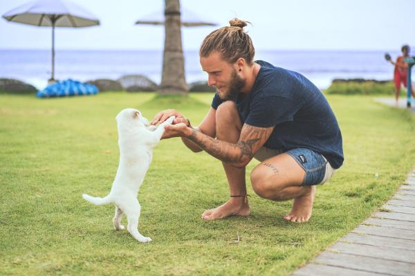 Nombres humanos para perros - Nombres de personas para perros unisex