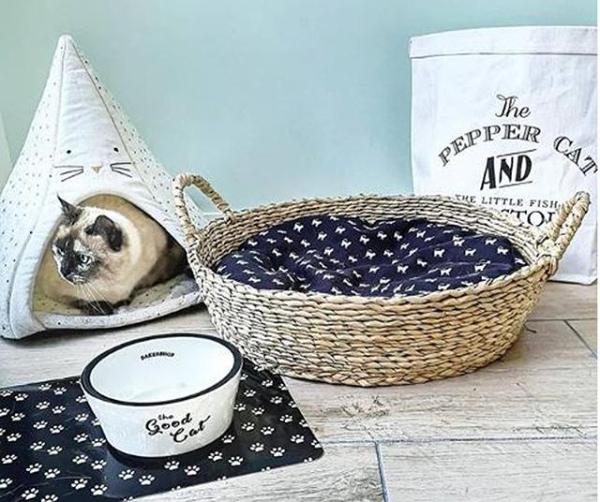 Traer un nuevo gato a casa: Adaptar tu casa - Artículos domésticos esenciales para gatos