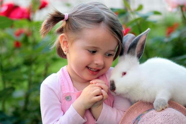 Ventajas y desventajas de tener un conejo - Ventaja: los conejos son dóciles y fáciles de convivir
