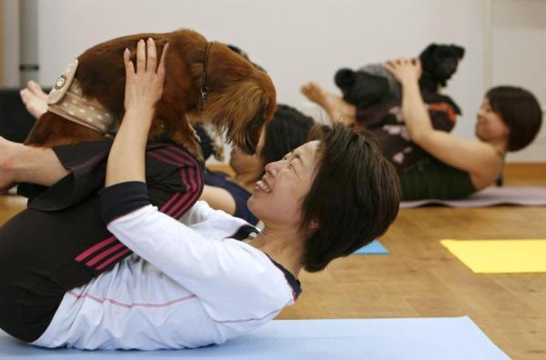 Yoga para Perros - ¿Qué es el yoga para perros?