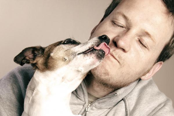 ¿Por qué mi perro sólo come cuando estoy cerca? - Tu perro puede sentirse inseguro