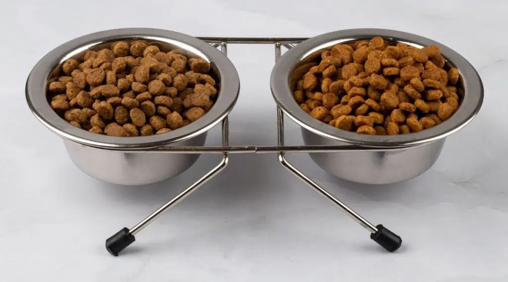 2 tazones de comida para perros Blue Buffalo