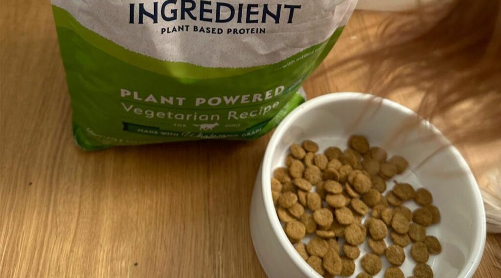 Comida para perros Natural Balance basada en plantas en un recipiente con bolsa y comida para perros