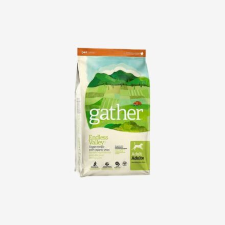 Reúna comida seca vegana para perros