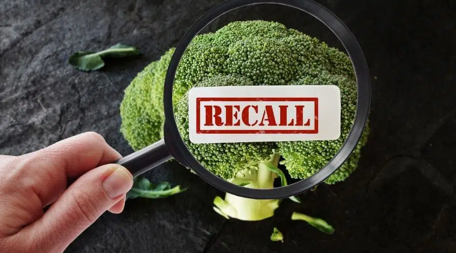 Retiro de alimentos y cabeza de brócoli