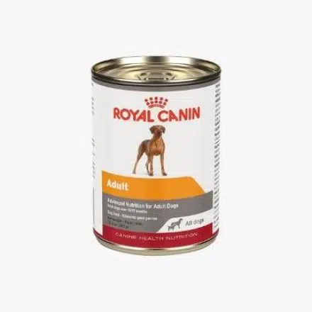 Alimento enlatado para perros adultos Royal Canin