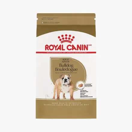 Bulldog Inglés adulto Royal Canin