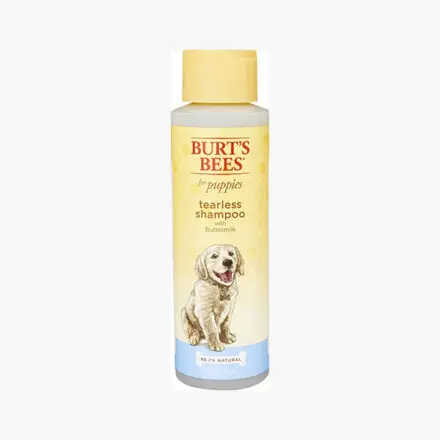 Champú Burts Bees para perros