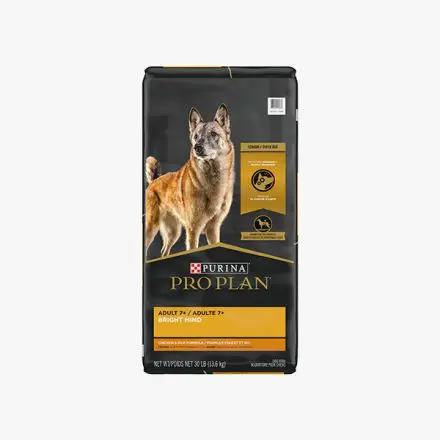 Purina Pro Bright Mind Senior Alimento para perros de razas grandes