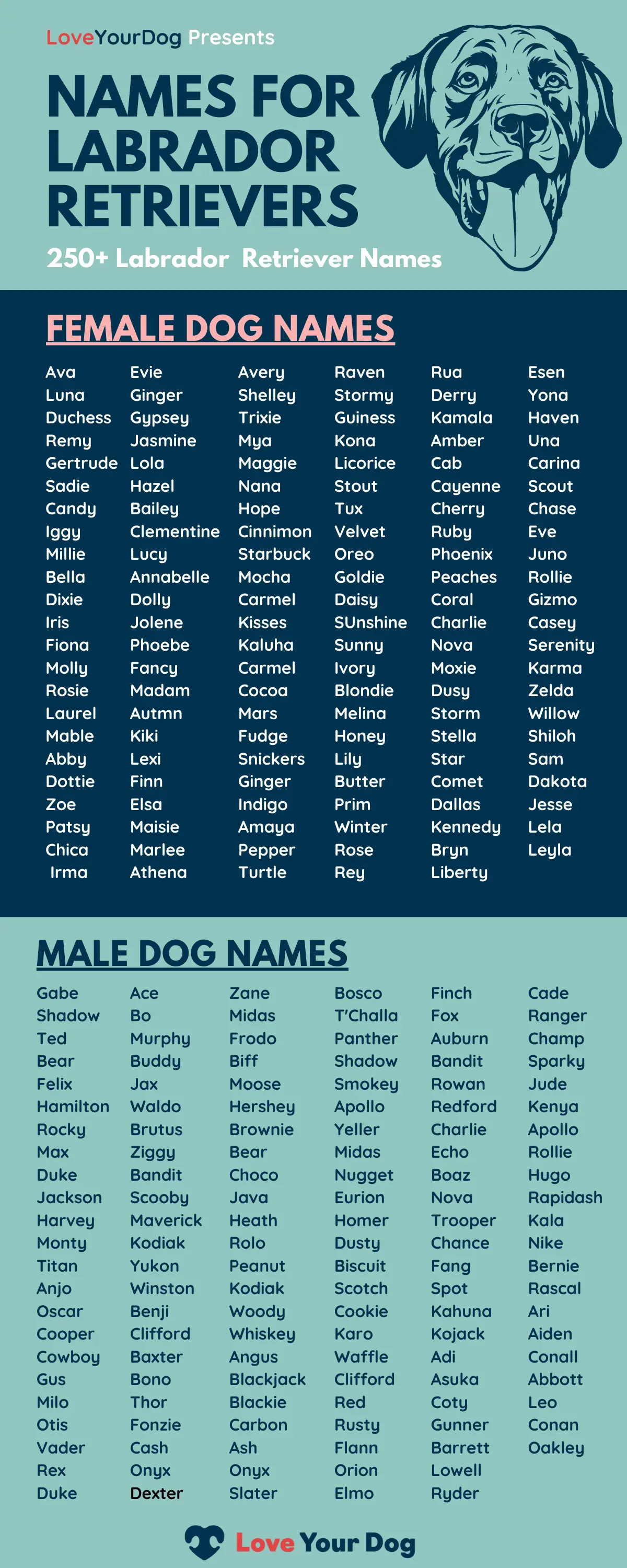 Nombres para perros labrador retriever