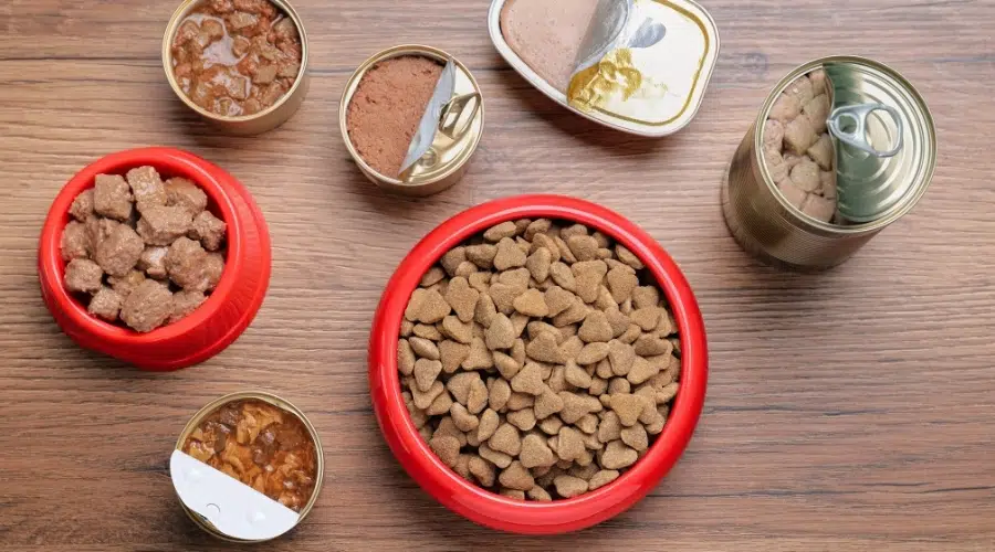 Varios alimentos para perros sin cereales uno al lado del otro en latas abiertas