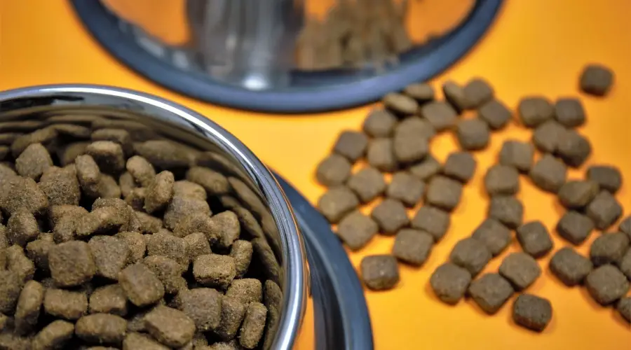 Comida para perros sin guisantes