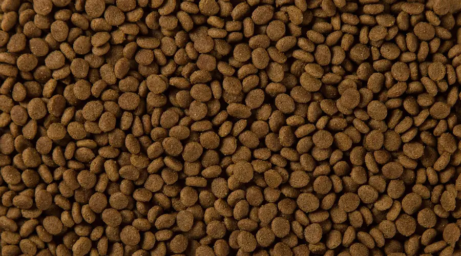 Comida para perros en imagen