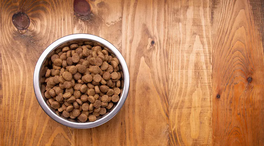 Sabor de la comida para perros salvajes en un tazón