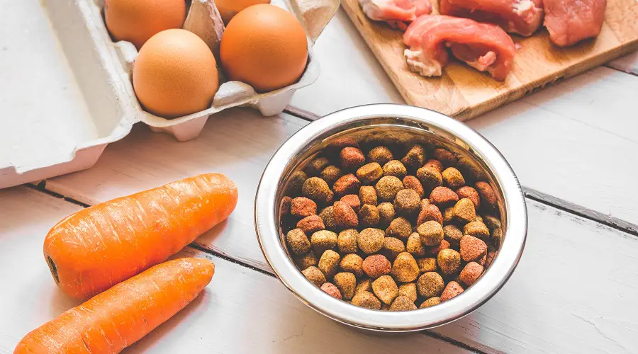 Ingredientes de comida para perros para American Journey y TOTW