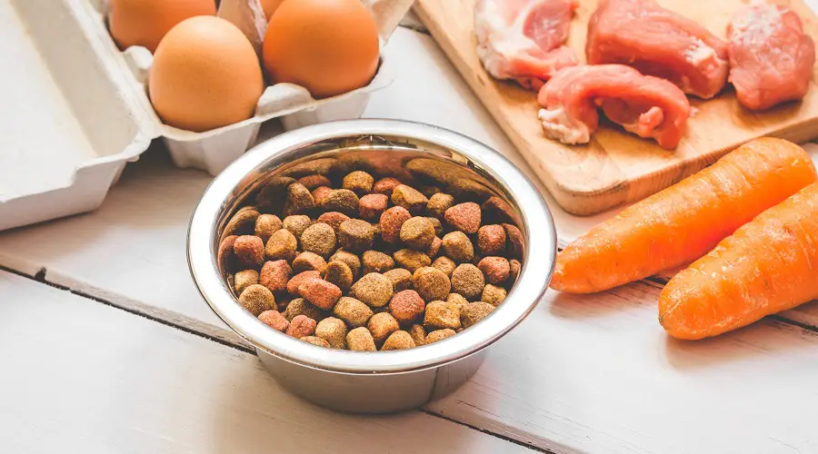 Ingredientes de comida para perros