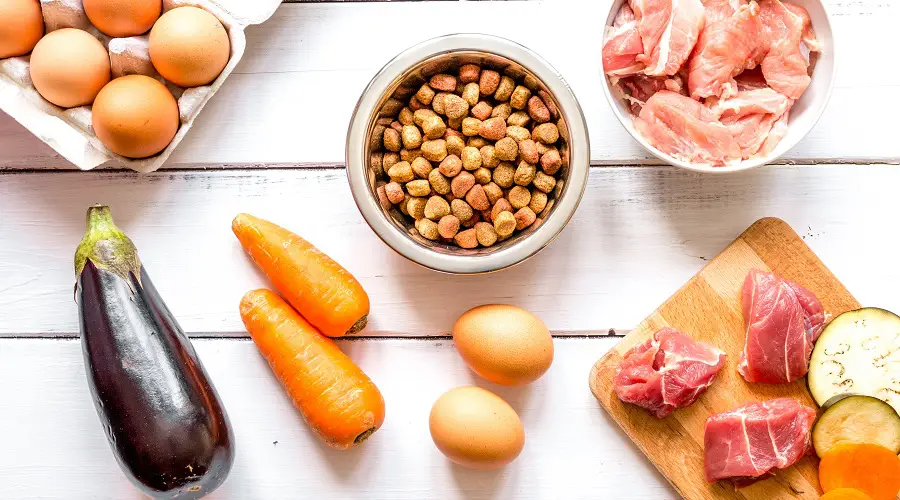 Ingredientes naturales de la comida para perros