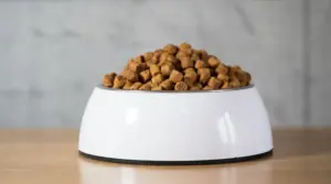 Recordar Historial, Ingredientes Y Más