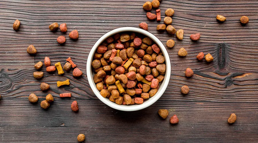 Los mejores alimentos para cachorros de razas grandes