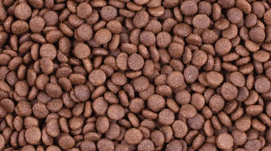 Alimento para perros Nutro